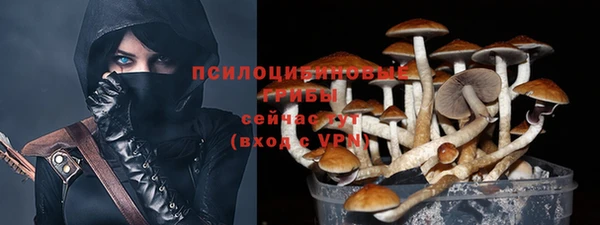 эйфоретик Белокуриха