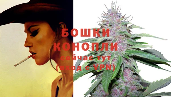 эйфоретик Белокуриха