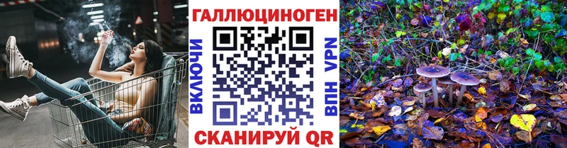 закладка  mega как войти  Псилоцибиновые грибы Cubensis  Демидов 
